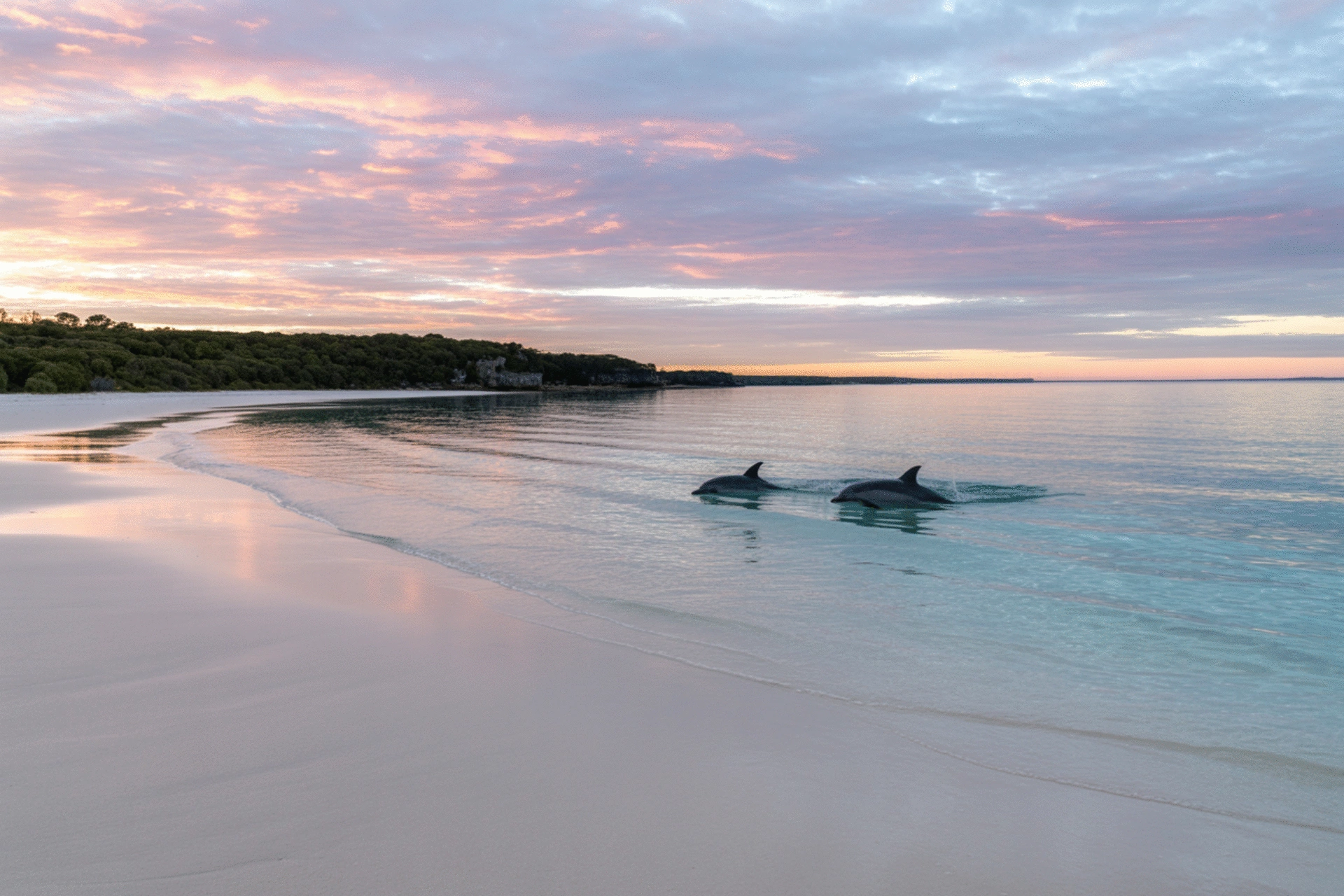 Welcome to Discover Jervis Bay